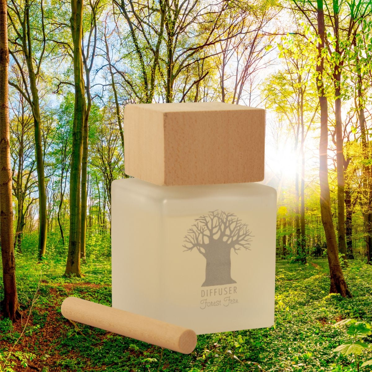 Wooden Top Diffuser